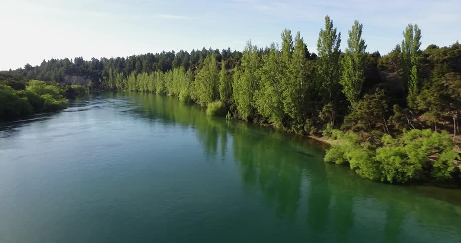 Trees line a river on a sunny day