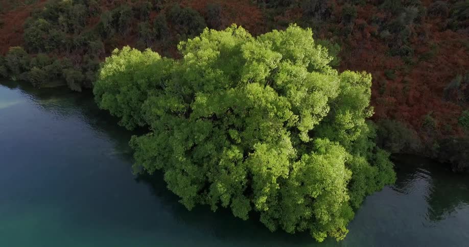Aerial view of a river