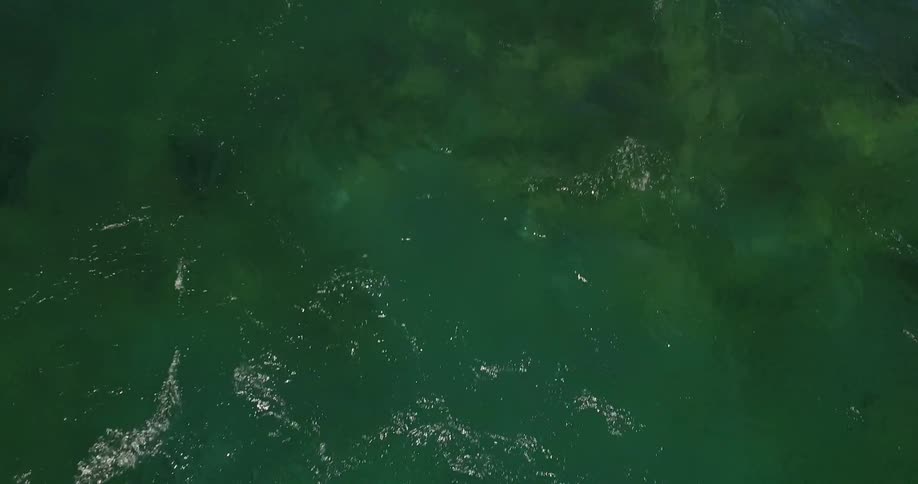 Shallow waters flowing by
