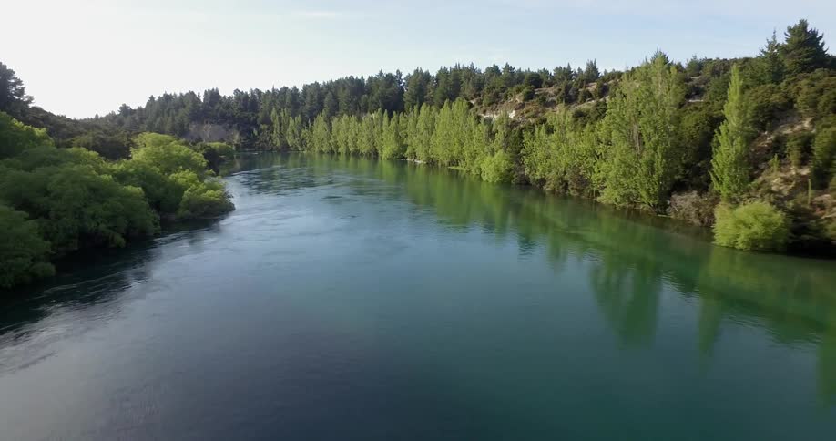 Trees line a river in the wilderness