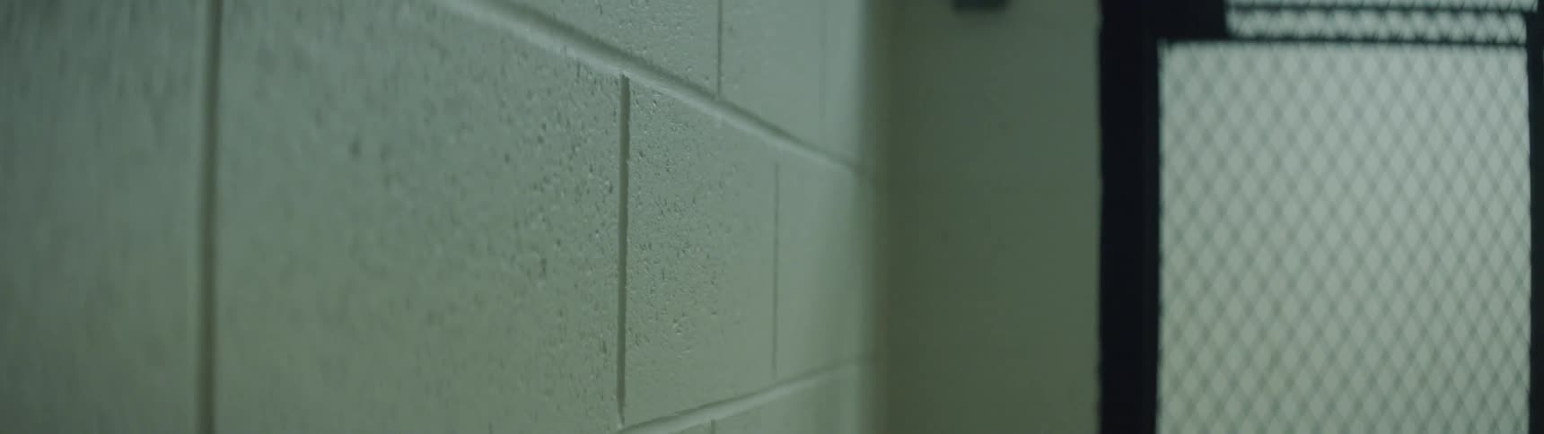 The camera looks at a brick wall and sliding grate