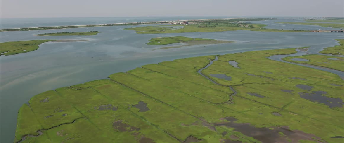 Aerial view of a marsh