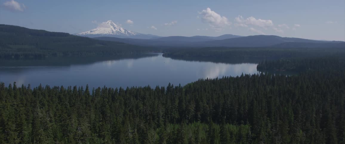 Aerial view of a massive forest and lake