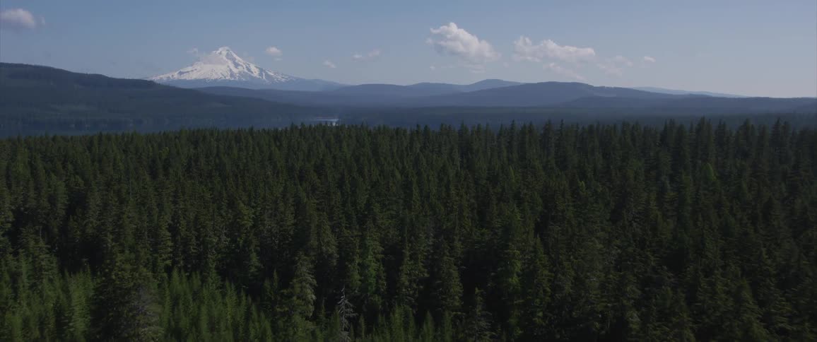 Thick conifer forest stretches to lake and mountains