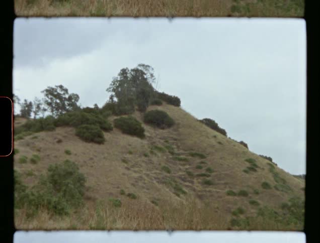 A hill covered in vegetation during the day