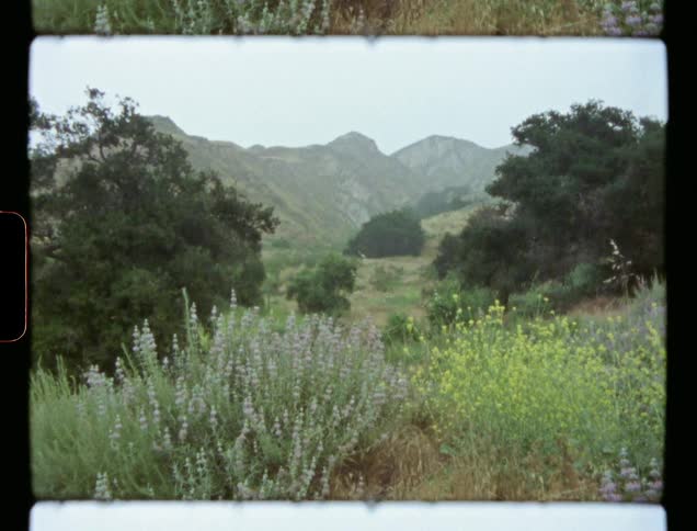 Meadow in valley with mountains on the horizon