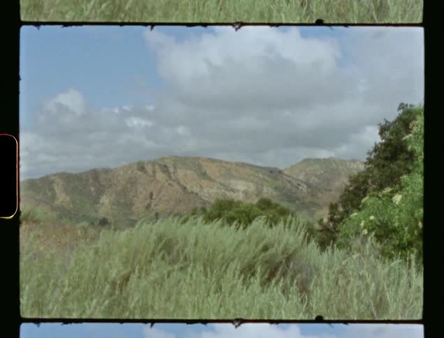 Grass blowing in the wind with mountains and the sky in the background