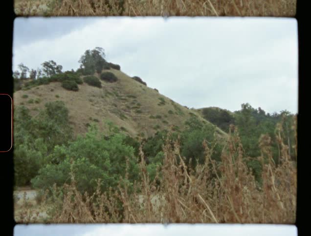 Field of tall grass next to hill