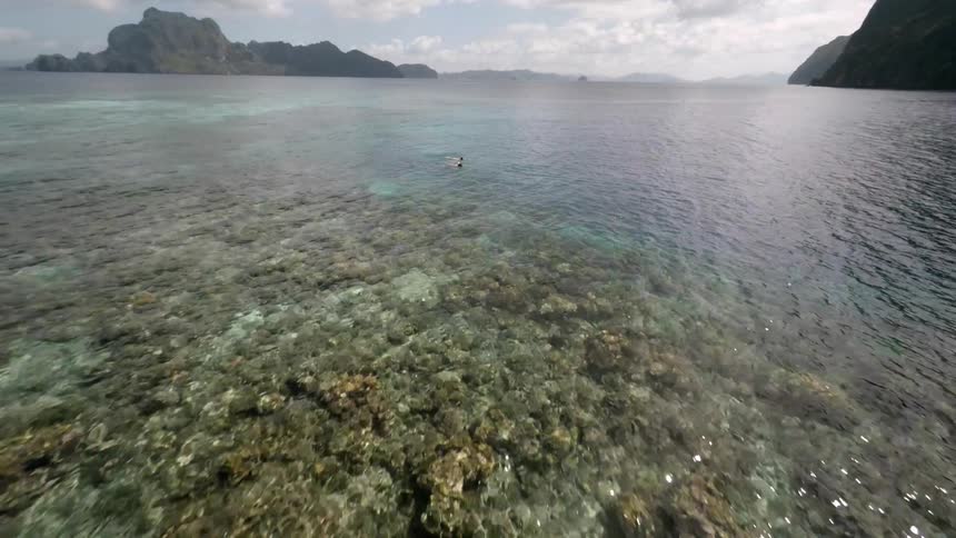 People swimming in the ocean