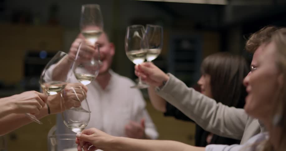 Group of friends toasting before taking dinner