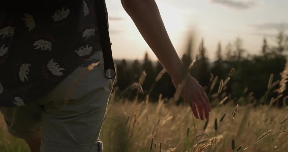 A person walks over the field touching the grass