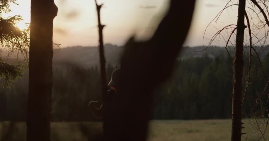A woman in a hat walks through a field at sunset