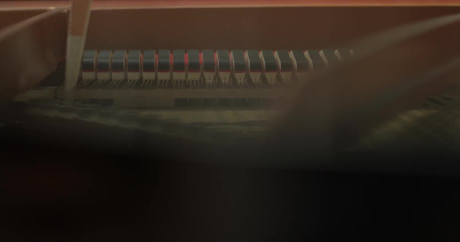 The hammers and strings of a piano are serviced