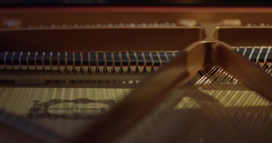Piano keys move up and down inside a piano