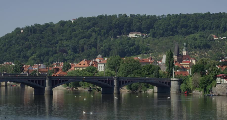 The birds float around in the water by the bridge