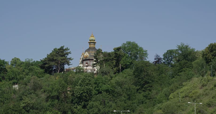 The dome of a cathedral behind trees