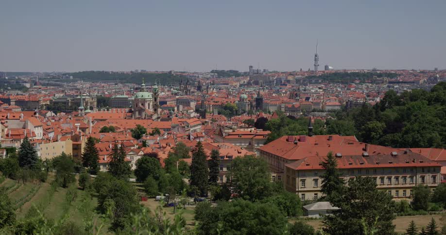 A neighborhood with trees and the sky in the background