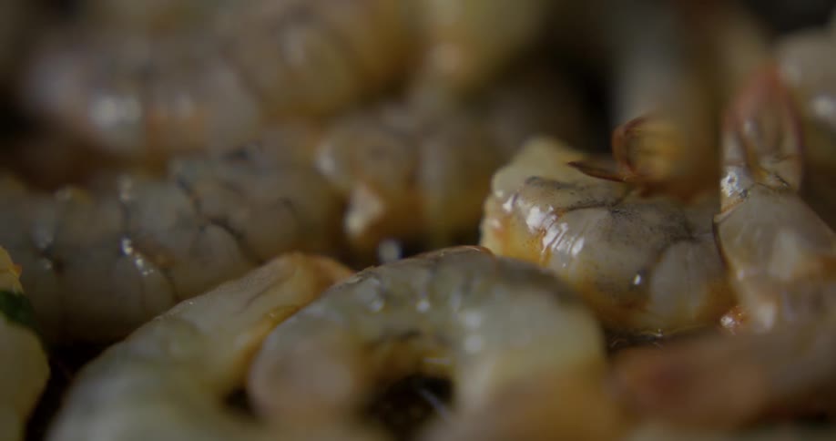 The camera looks at shrimp very closely as they are shaken