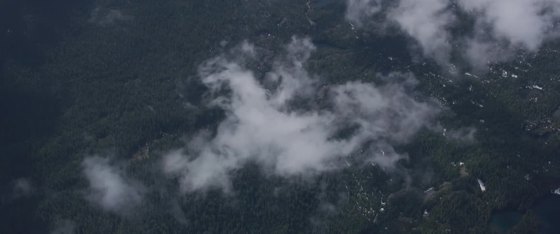 Clouds over snow covered forest