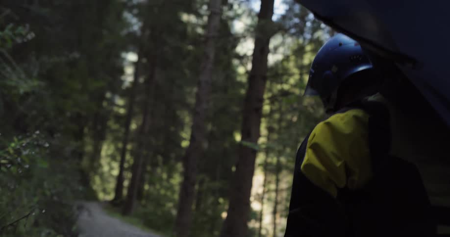 A man is hiking in a forest