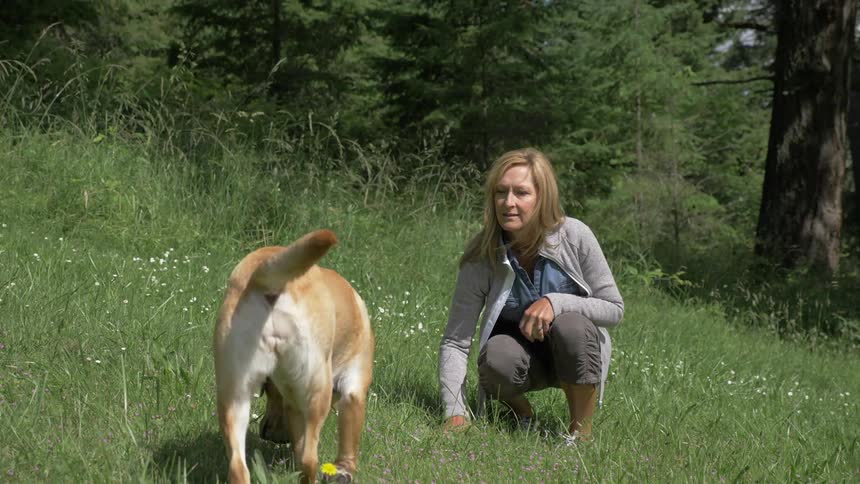 Woman gets down and touches on grass calling the golden dog during daylight