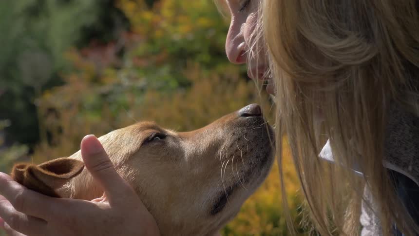 A woman plays with and pets a dog
