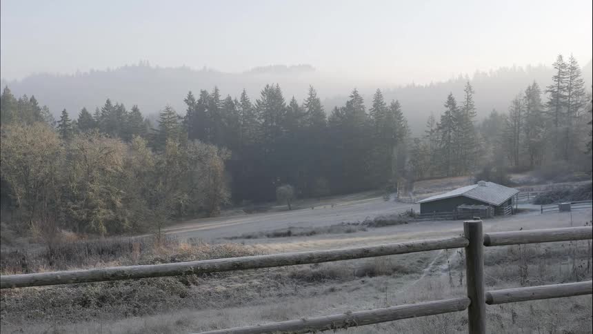 Fog rolls over a forest behind a barn that appears to be abandoned as the sun rises