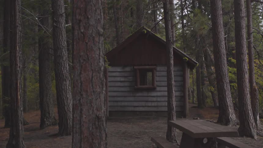 A small building is surrounded by trees and picnic tables in a forest