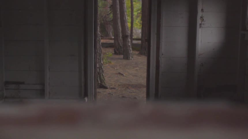 Camera shows a forest through the crack in open doors