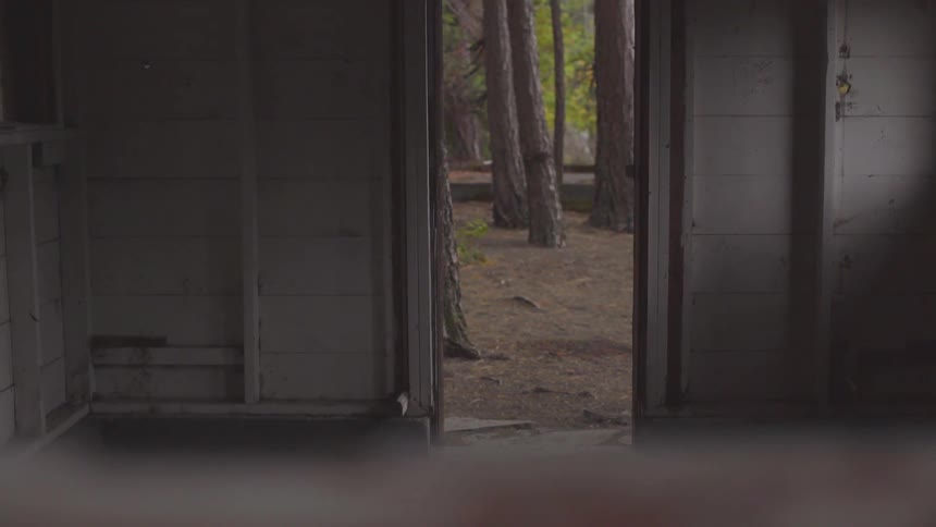 The camera moves inside of a dilapidated building in the woods