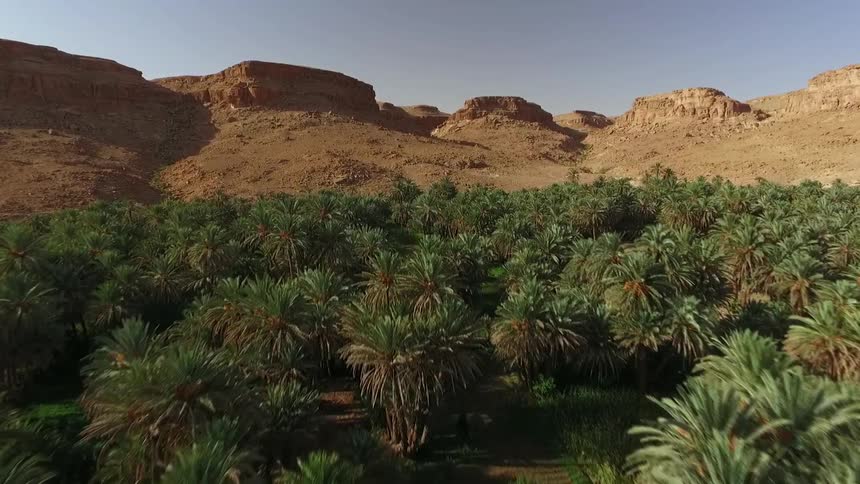 Desert