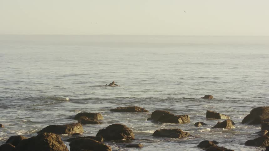 Surfer heads out to sea on his board