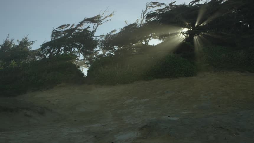 Surfer running out from the bushes onto the sand with a beautiful backlit sun