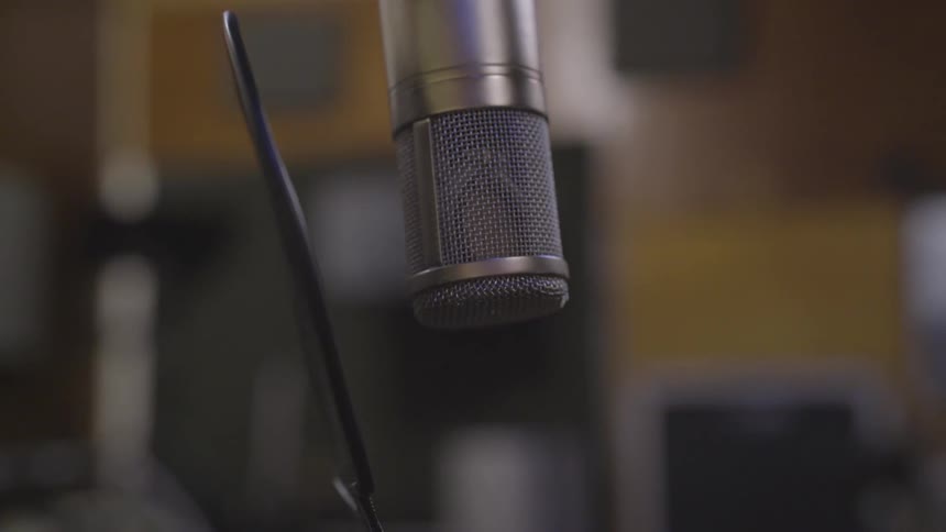 A microphone and pop filter