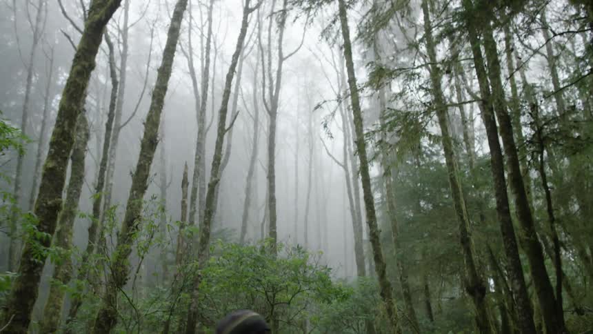 Man with knit cap looking up at cloud forest near the coast