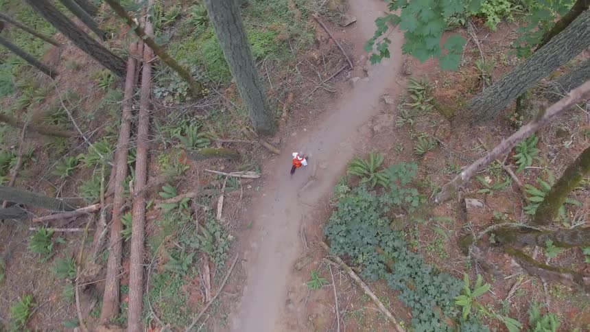 An aerial shot of a person walking on a trail in the woods