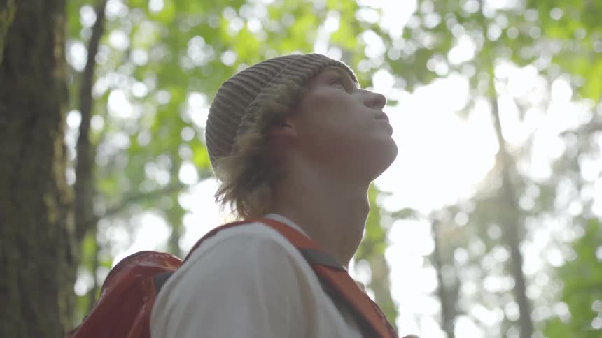 Man stands in woods looking up at trees