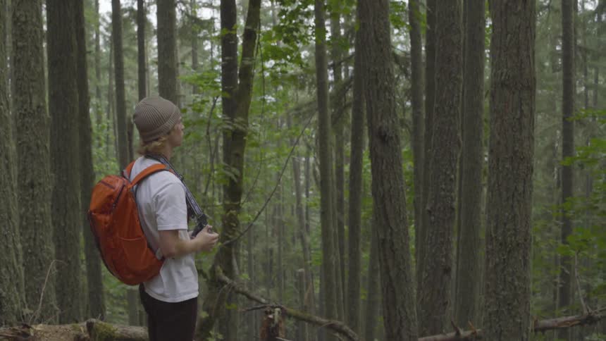 Blonde man wearing wooly hat takes picture of trees in the forest during daylight