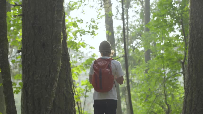 A person is in a forest area