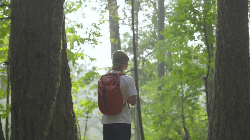 A person stands in a forest looking around