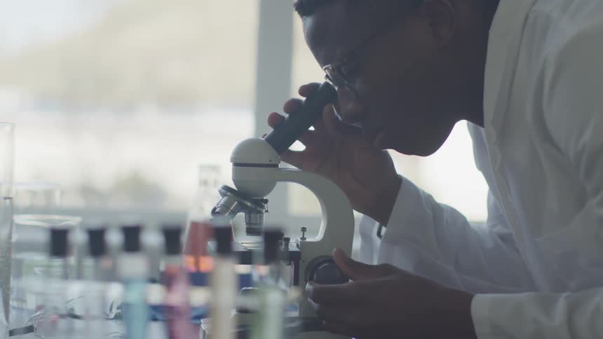Scientist looking through a microscope observing a slide