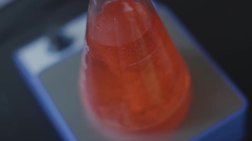 Red liquid whirls in a lab glass