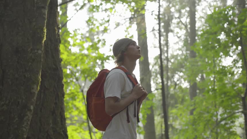 Teenage boy stands in the woods and looks up at the trees