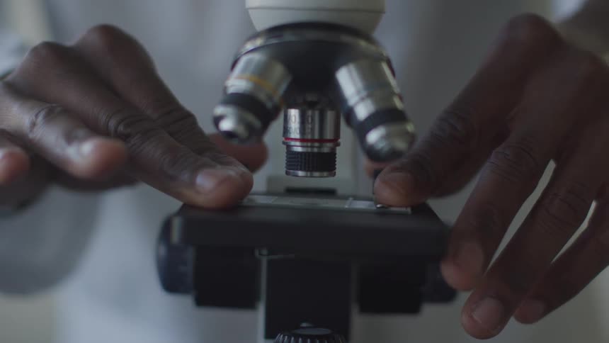 A black mans hands are carefully adjusting the positioning of a glass slide and specimen on the stage of an optical microscope