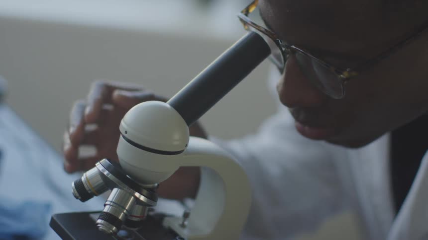 A person looks through a microscope and adjusts the visual