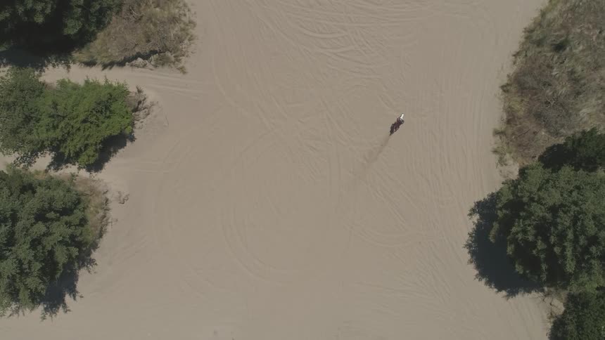 Man rides bike on golden sand on a sunny day