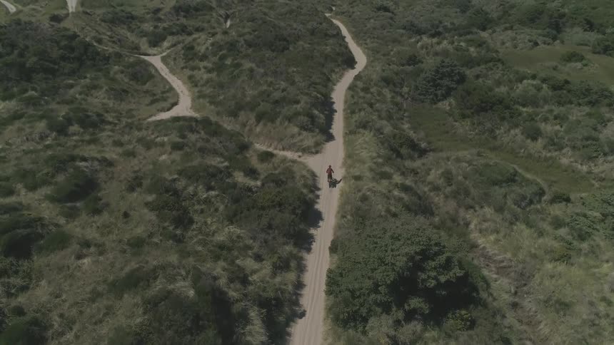A cyclist rides down a dirt road in the middle of lush greenery near the ocean