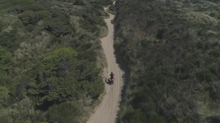 A person rides a motorcycle down a dirt road through a forest