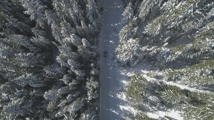 Car moves on the road through the winter forest