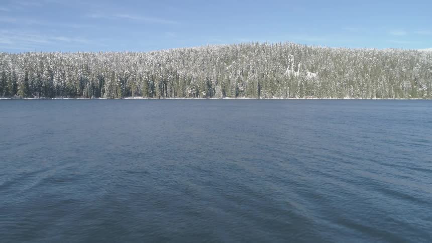 Snow covered trees sit next to the lake under a blue sky